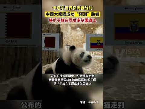 纳尼加盟欧,洲足坛,土耳其豪门,米兰体育官网,米兰体育登录,米兰体育App,米兰体育入口,米兰体育平台